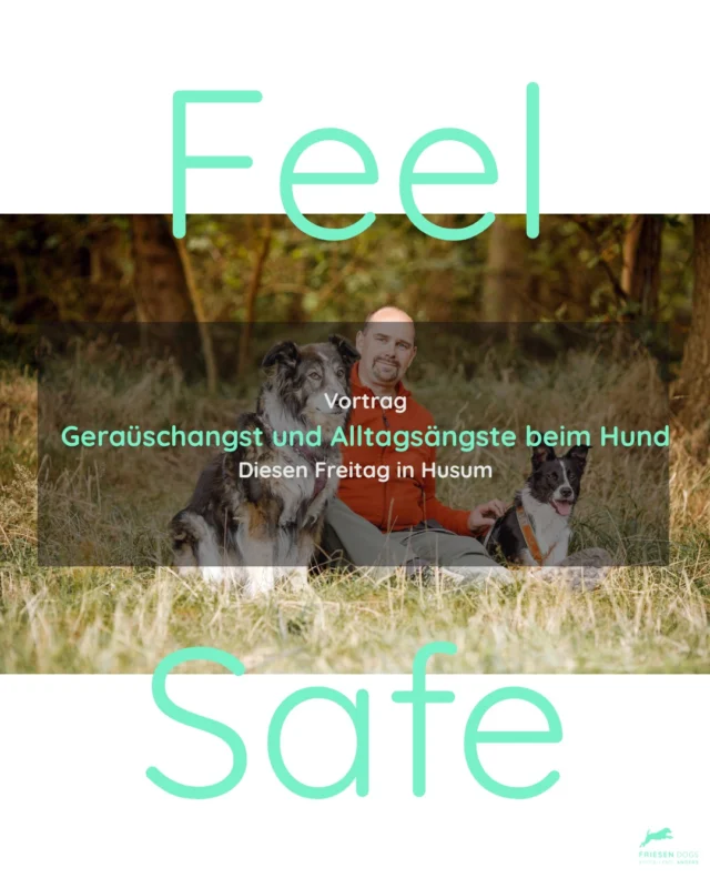 Wenn Knallgeräusche, Gewitter, fremde Menschen, andere Hunde oder selbst alltägliche Situationen für Hunde zur Belastung werden, fühlen sich viele Menschen irgendwann hilflos oder allein mit dem Thema.

Doch Angst ist nicht „Ungehorsam“ — und auch nichts, was Hunde einfach „ignorieren“ können.

An diesem Themenabend mit Gerd Schreiber schauen wir gemeinsam darauf:
🐾 wie Angst entsteht
🐾 warum manche Hunde so stark reagieren
🐾 was wirklich helfen kann
🐾 und wie wir Hunde sicher, freundlich und fachlich fundiert begleiten können

Für mehr Verständnis, Sicherheit und alltagstaugliche Wege im Umgang mit Geräuschangst und Alltagsängsten.

📍 Freitag in Husum
Es sind noch Plätze frei.
Link in der Bio

#geräuschangst
#angsthund
#alltagsängste
#hundetraining
#bedürfnisorientiert
#positivetrainieren
#reaktiverhund
#hundeverhalten
#hundealltag
#friesendogs
#husum
#nordfriesland