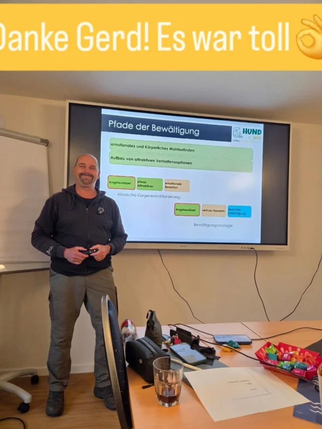 Wir durften viel Wissen mitnehmen, Fragen stellen, Videos analysieren und auffrischen und austauschen. Danke für den Input.

Nun machen wir zufrieden und voller neuer Ideen Feierabend und freuen uns auf die folgenden 2 Seminartage.

Vielen Dank an alle die dabei waren💪

#bedürfnisse #wohlergehen #ängste #hundetraining #vortrag