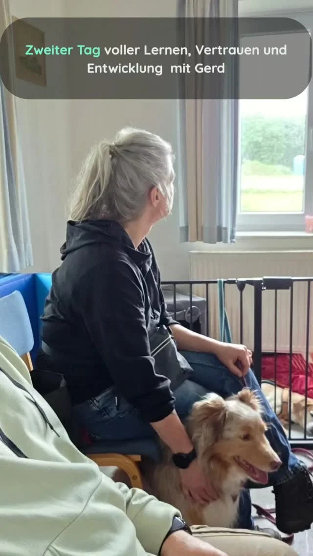 Impressionen von Tag 2 💚🐾

Zwei intensive Tage voller Lernen, Beobachten, Verstehen und vieler kleiner Erfolgsmomente.

Besonders berührend ist für mich immer wieder zu sehen, wie viel Veränderung entstehen kann, wenn Hunde und ihre Menschen sich sicher fühlen dürfen — ohne Druck, ohne „funktionieren müssen“, sondern Schritt für Schritt.

Danke an alle Mensch-Hund-Teams für das Vertrauen, die Offenheit und die vielen echten Momente an diesem Wochenende 💚
Und natürlich auch danke an Gerd Schreiber für den wertvollen Input und die gemeinsame Zeit.

Für uns heißt es nun umsetzen des gelernten und ab in die Planung für das nächste Seminar 2027☀️

#friesendogs
#hundetraining
#bedürfnisorientierteshundetraining
#positiveshundetraining
#hundeverhalten

#alltagsängstebeimhund
#hundebegegnungen
#hundetrainerin
#nordfriesland
#hundeliebe
#hundealltag
#lernenmithund
#vertrauenstattdruck

#lebenmithund
#hattstedt
#husum
#ibh
#hundeausbildung