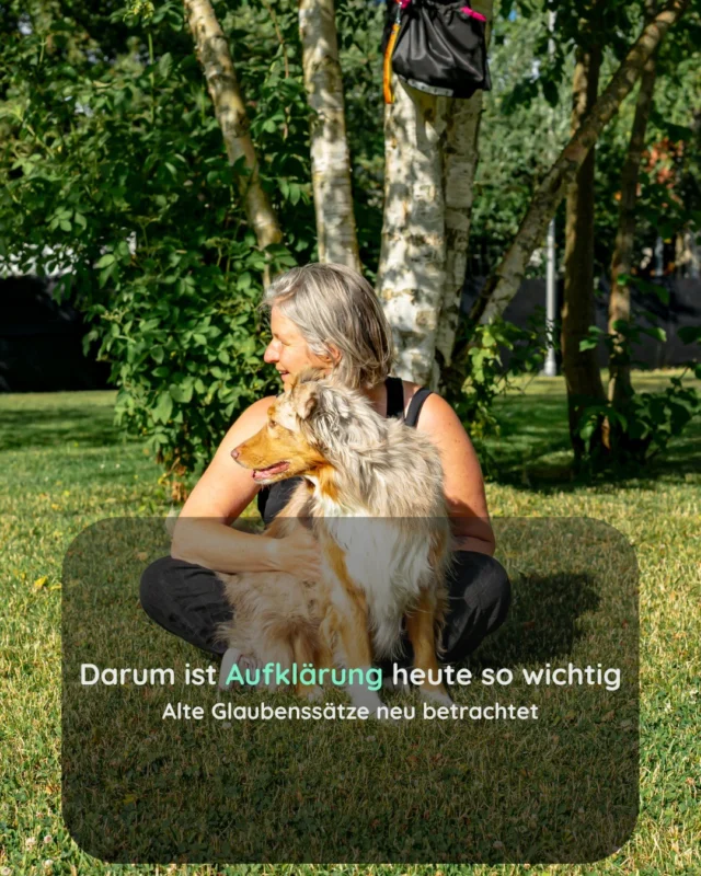 Manches, was wir über Hunde gelernt haben, stammt aus einer anderen Zeit.

Heute wissen wir mehr.

Und das ist eine Chance.!

#Hundetraining #PositiveVerstärkung #HundeVerstehen #Bedürfnisorientiert #FriesenDogs