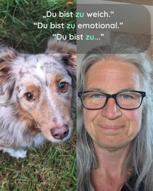 Wegbegleiter*in☀️

#friesendogs
#hundetraining
#hundeverstehen
#bedürfnisorientierteshundetraining
#positiveverstärkung
#fairnessimhundetraining
#hundemenschteam
#beziehungstattdominanz
#bindungstatthärte
#lebenmithund
#verhaltensberatung
#hundealltag