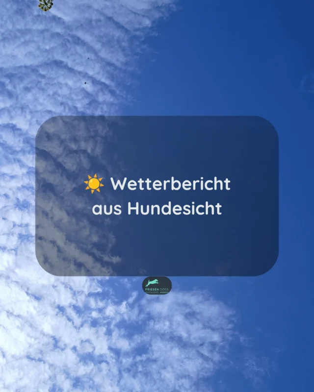 🚩Und sollte es morgen wieder zu heiß sein verschieben wir auf übermorgen oder überübermorgen...versteht sich von selbst, wa?

Hohe Temperaturen können für Hunde schnell belastend werden. Passe Spaziergänge und Beschäftigung an die Wetterbedingungen und die individuellen Bedürfnisse deines Hundes an.

💧 Frisches Wasser
🌳 Schatten und Ruhe
🌅 Aktivitäten in den kühlen Morgen- oder Abendstunden

Bei Hitze ist weniger immer mehr‼️

#hundetraining #bedürfnisorientiert #hundeliebe #sommermithund #hitzebeimhund #positiveshundetraining #hundeverhalten #friesendogs #hundegesundheit #alltagmithund