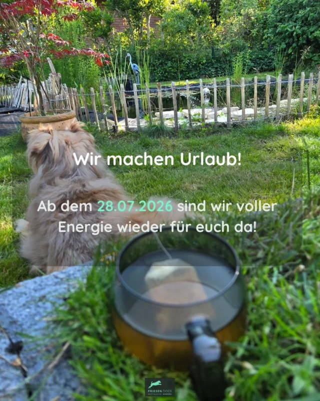 💚 Wir machen Urlaub! 🌿

So ihr Lieben,
jetzt ist es für uns Zeit, einmal  auf Pause zu drücken.
Die letzten Monate waren wunderschön, spannend und intensiv. Jetzt gönnen wir uns eine kleine Auszeit, um den Akku wieder aufzuladen.
Ich freue mich auf lange Spaziergänge mit unseren Hunden, Zeit mit meiner Familie, den Garten, die Natur, Bewegung, eine Tasse Tee mit Blick ins Grüne und einfach darauf, den Kopf mal wieder frei zu bekommen.
Einfach mal tief durchatmen, die Stille genießen und neue Kraft tanken.

Ab dem 28.07.2026 bin ich  wieder für euch und eure Fellnasen da.
Im August gibt es erneut eine kleine Auszeit die ich rechtzeitig ankündigen werde.
Warum ich 2x in den Urlaub gehe?
Damit ihr keine zu große Lücke in euren Trainings bekommt und ich mir trotzdem das Bedürfnis nach Ruhe und Sommerpause erfüllen kann😘😉

Ich wünsche euch eine wunderschöne Zeit im Juli. Passt gut auf euch auf und genießt die kleinen Momente.

Ich freue mich auf alles was wir in der 2ten Jahreshälfte noch gemeinsam rocken werden☀️☀️

#FriesenDogs #AuffallendAnders #Urlaubsmodus #KraftTanken #ZeitFürDieFamilie