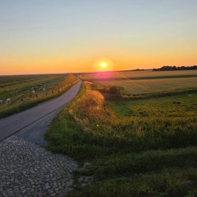 Dirk und ich nach dem Yoga bei @birgit_dollingerwehmschulte am Deich zum Sonnenuntergang genießen.

#selbstfürsorge #eheleben #imhierundjetzt