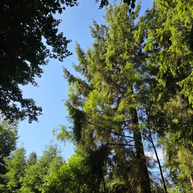❌️Unser Motto ist nicht: "Wenn endlich....dann machen wir...
✅️Unser Motto ist:"Trotz dem was ist versuchen wir es hinzubekommen"

Und das jeden Tag aufs Neue☀️

#machen #trotzdem #sowohlalsauch #kleineschritte #amballbleiben