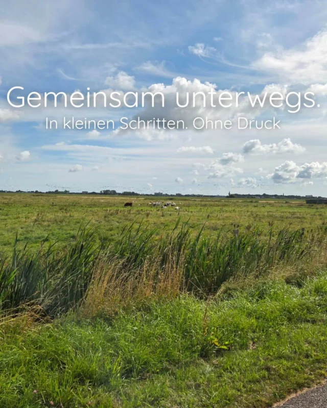 Mein Favorite, der monatliche Lernspaziergang🤩

#lernspaziergang #socialwalk #neueerfahrung #gemeinsamunterwegs #lernenmöglichmachen