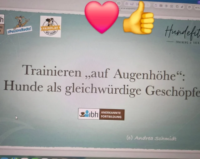 Mega Fobi beim @ibh_ev mit Andrea Schmidt.💪

Ein viel zu schnell verflogener Abend mit tollen Kolleg*innen und Raum für Wissen, Austausch und Reflektion.🤩

Schnell war klar, dass wir einen wohlwollenden und bedürfnisorientierten Umgang mit unseren Hunden nicht nur pflegen dürfen sondern unbedingt sollten!💪

Unter Beachtung der Grundprinzipien der Gleichwürdigkeit ist es möglich und unumgänglich Gefühle, Bedürfnisse  und die Würde eines Individuums zu achten und zu respektieren.

Diese Haltung führte schon während der Fobi zu vielen sich gut anfühlenden Momenten und zu der Gewissheit, dass das der Grundstein ist, der zu mehr Wohlbefinden und weniger Leid für unsere Hunde, uns selbst und unseren Kund*innen führt.

Ich bin froh dass ich dabei war und fühle mich heute angekommen😊

Unter Gleichgesinnten zu sein- unbezahlbar🫶

#ibh_ev
#gleichwürdigkeit #fairplaymithund #positiveshundetraining gemeinsam