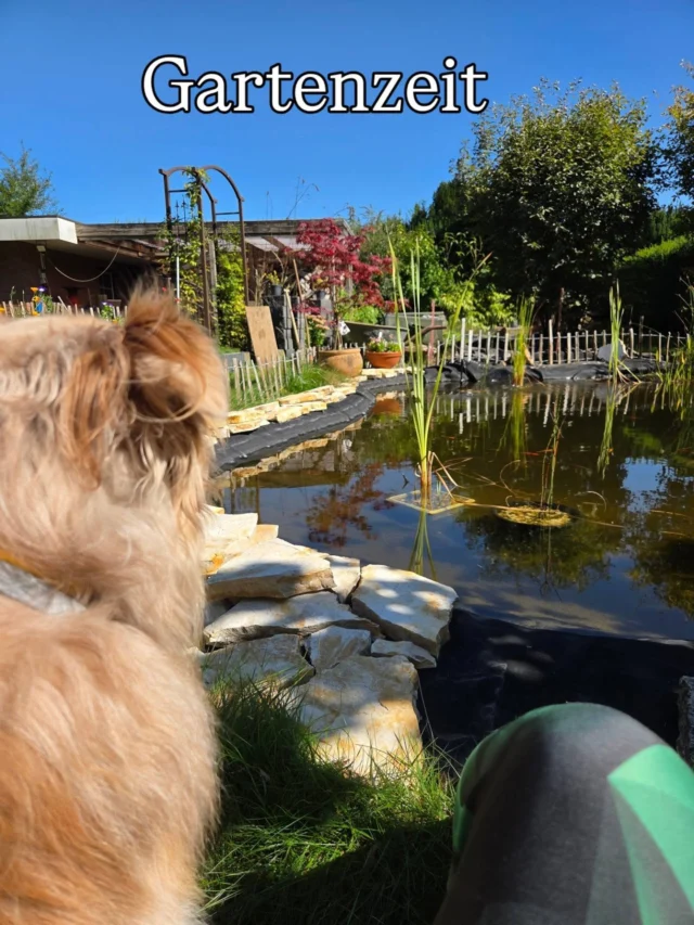 Urlaub

#metime❤️ #gartenliebe #entschleunigen #familiemithunden #selbstfürsorgeimalltag